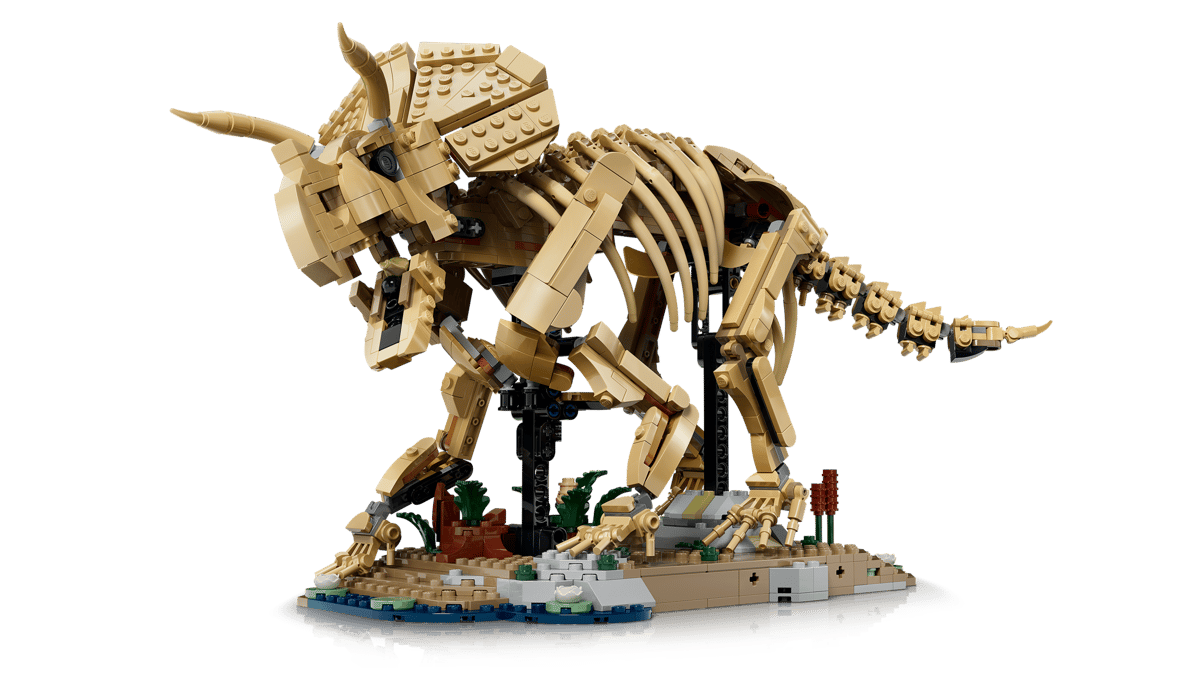 🇪🇺 EU Warehouse-wk-blok-Dinosaur Fossils Triceratops-77985