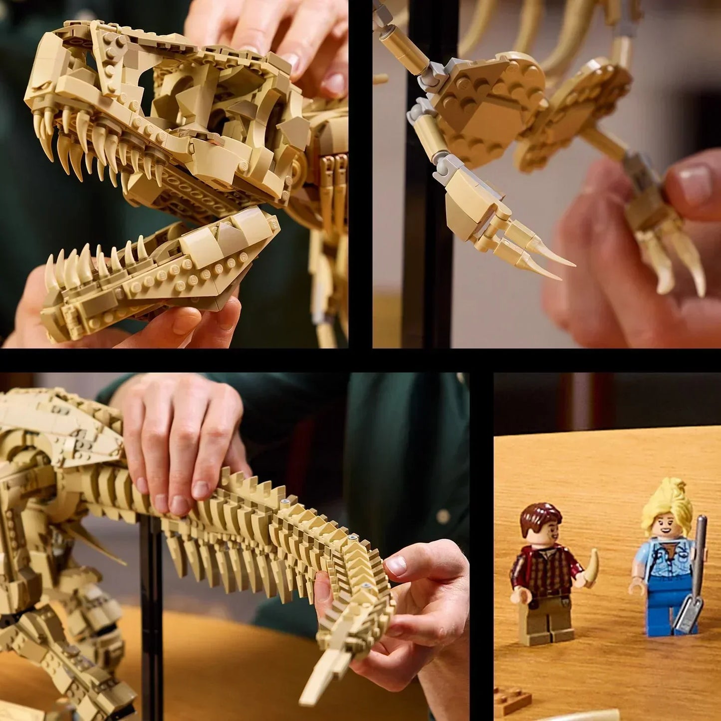 [🇺🇸 US Warehouse]-wk-blok T-Rex Dinosaur Skeleton Fossil - 76968