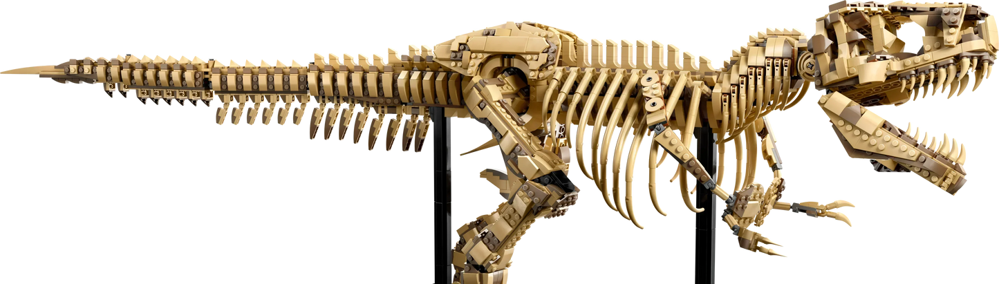[🇺🇸 US Warehouse]-wk-blok T-Rex Dinosaur Skeleton Fossil - 76968