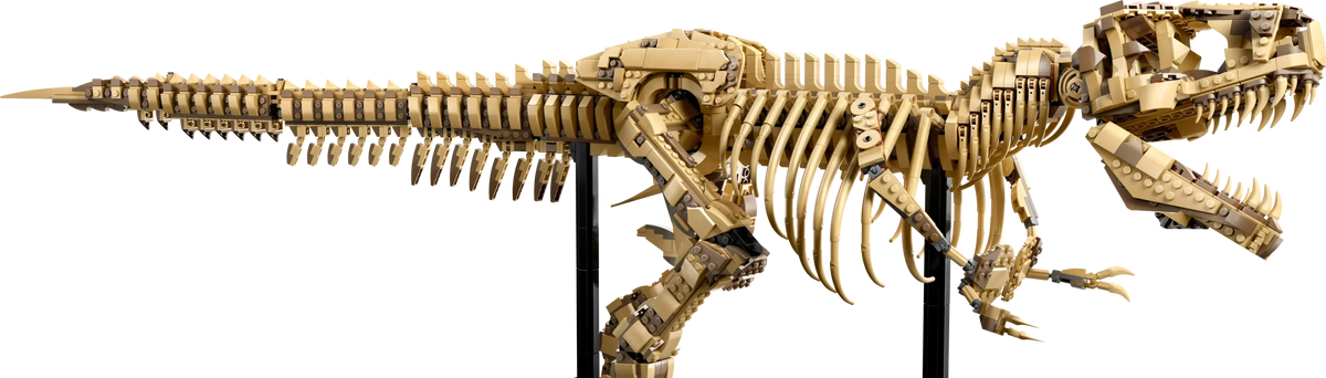 [🇺🇸 US Warehouse]-retailerblocks T-Rex Dinosaur Skeleton Fossil - 76968