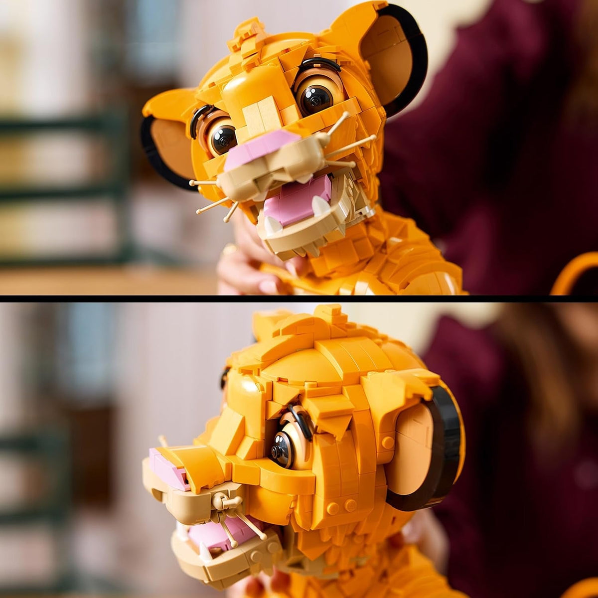 US Warehouse | Young Lion Display Building Set – 43247
