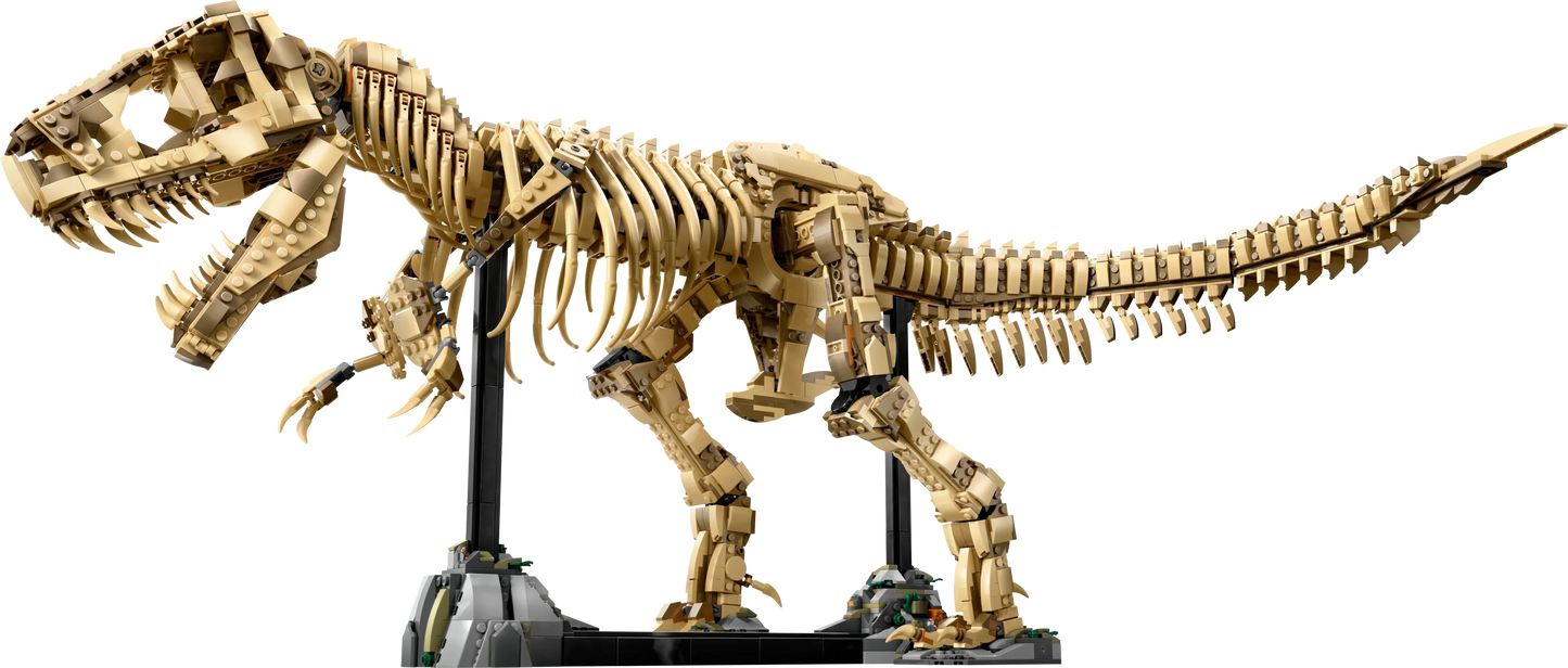 [🇺🇸 US Warehouse]-wk-blok T-Rex Dinosaur Skeleton Fossil - 76968