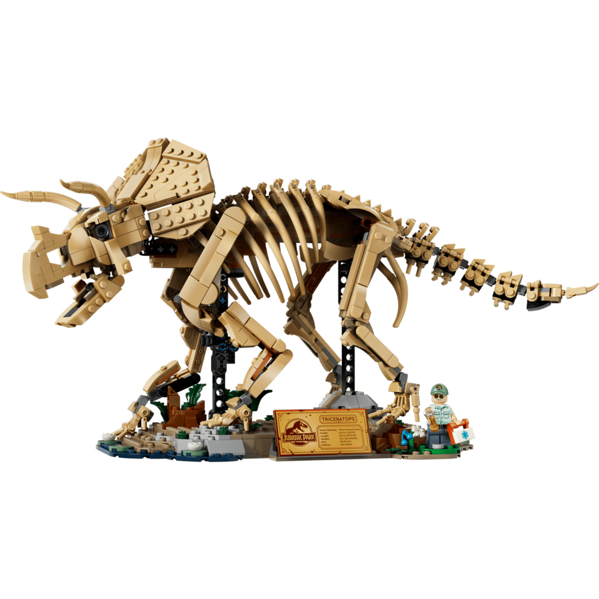 EU Warehouse-retailerblocks-Dinosaur Fossils Triceratops-77985
