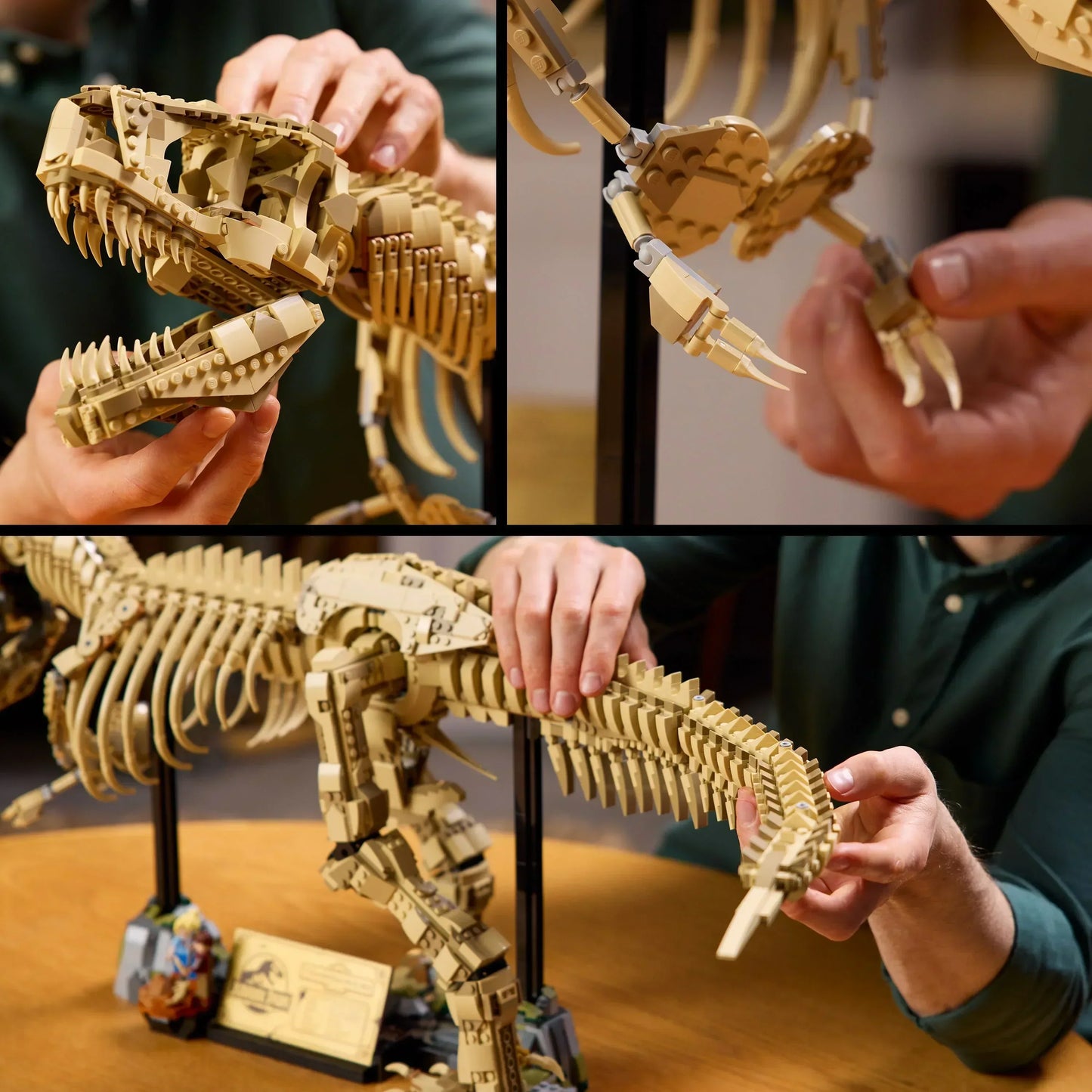 [🇺🇸 US Warehouse]-wk-blok T-Rex Dinosaur Skeleton Fossil - 76968
