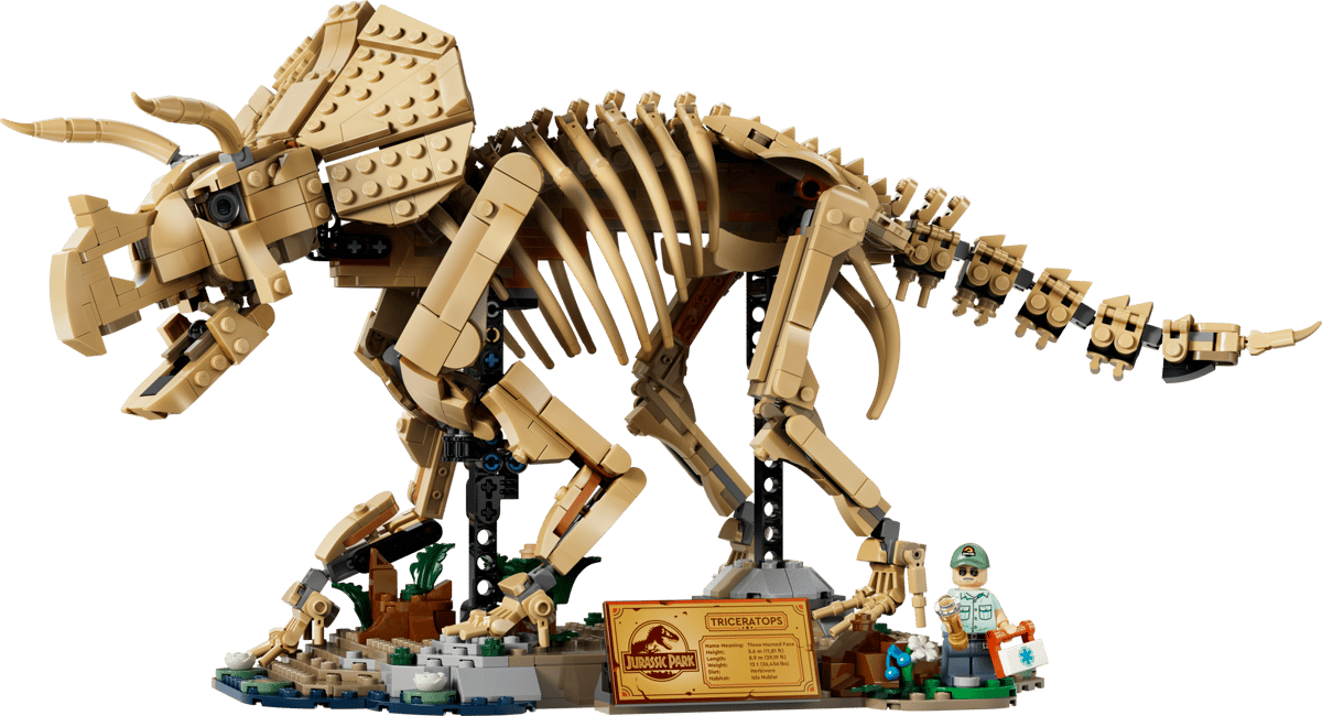 🇪🇺 EU Warehouse-wk-blok-Dinosaur Fossils Triceratops-77985