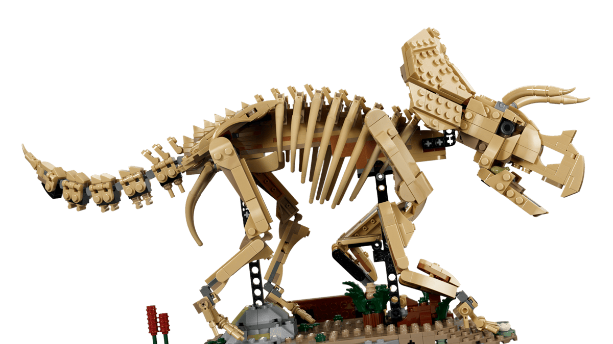 🇪🇺 EU Warehouse-wk-blok-Dinosaur Fossils Triceratops-77985